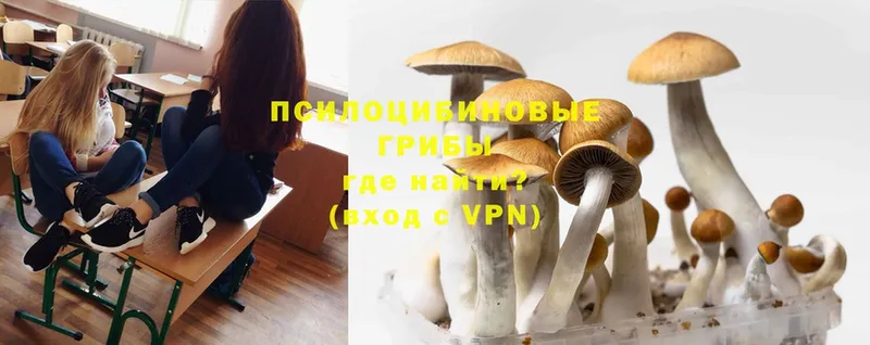 Галлюциногенные грибы Magic Shrooms  Шумерля 